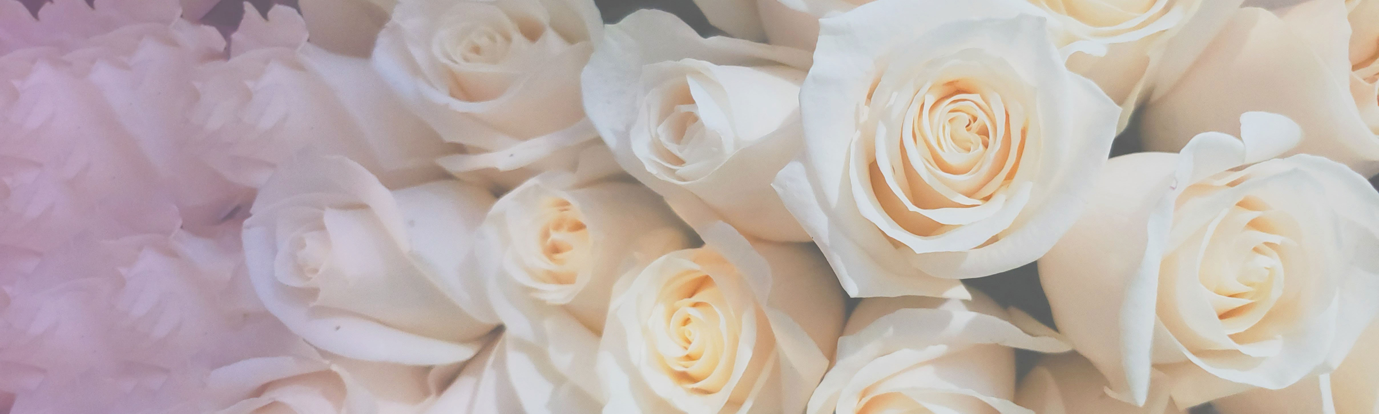 プライバシーポリシー