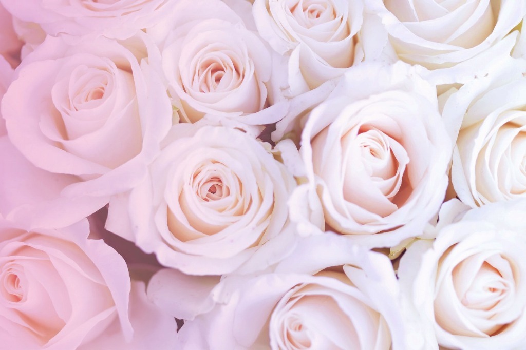 神戸市西区からオンラインでチャネリングを活用した人間関係・人生相談のカウンセリングを行っています。